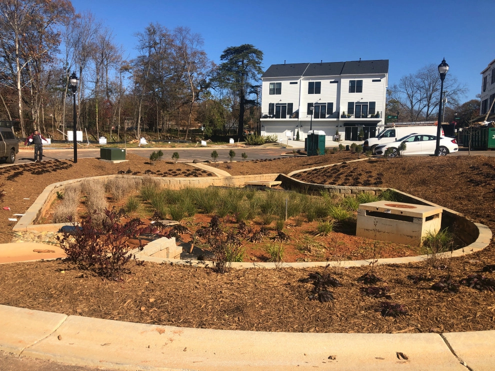 Dry Streams, Rain Gardens and Bog Gardens by Earth Design, Inc. - Photo 13
