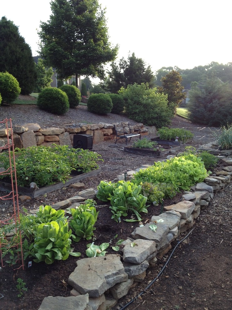 Vegetable and Herb Gardens by Earth Design, Inc. - Photo 6