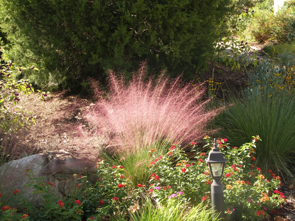 Native Plants and Planting Palettes by Earth Design, Inc. - Photo 34