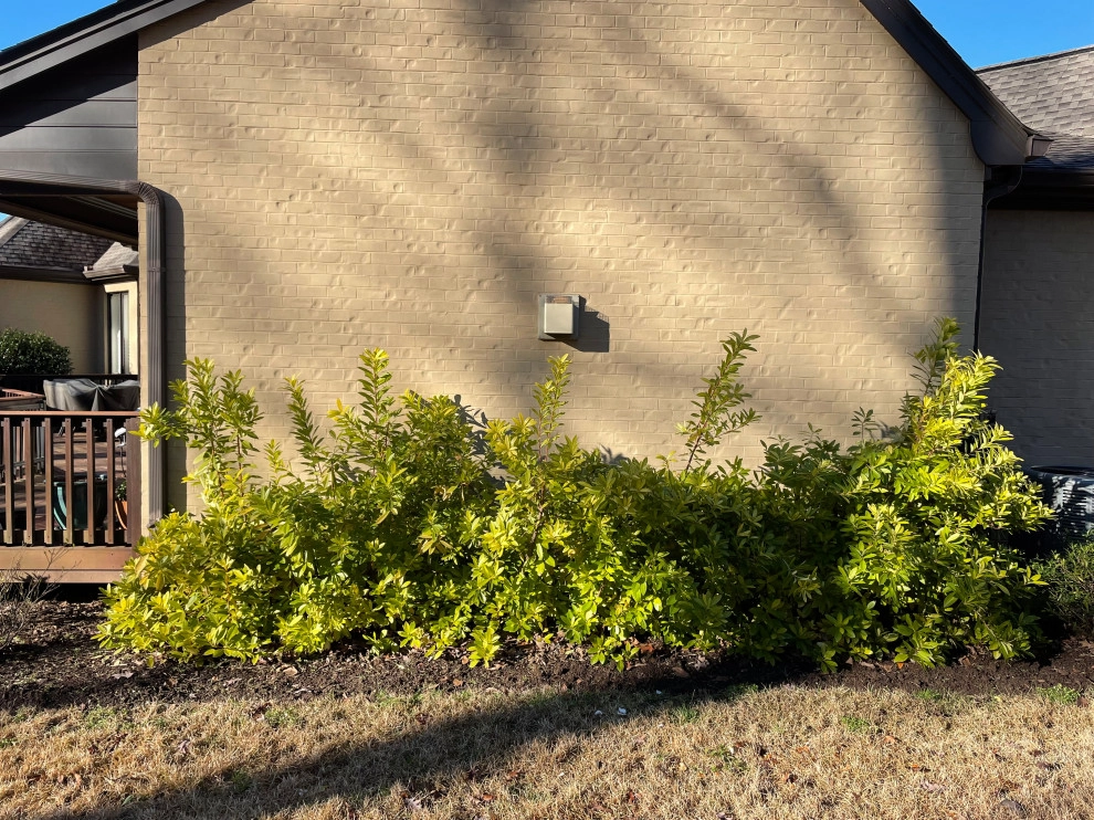 Earth Design, Inc. - Photo 11
