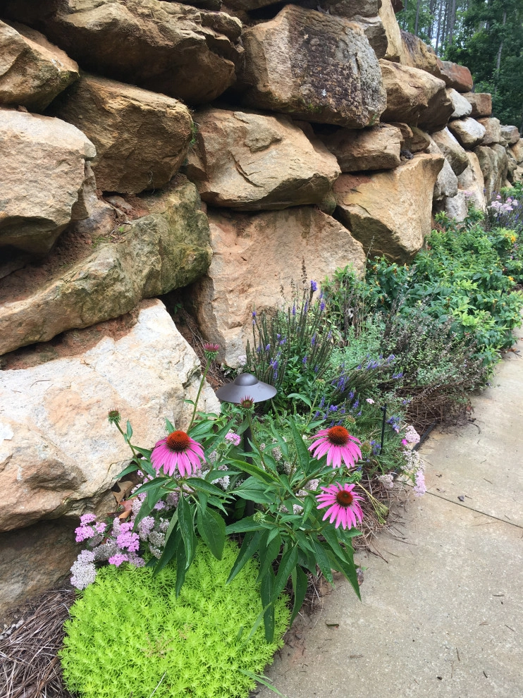 Native Plants and Planting Palettes by Earth Design, Inc. - Photo 33