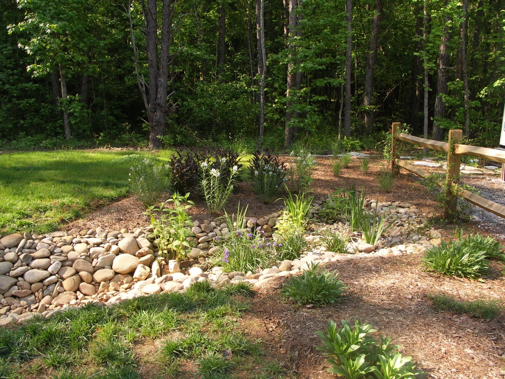 Dry Streams, Rain Gardens and Bog Gardens by Earth Design, Inc. - Photo 7