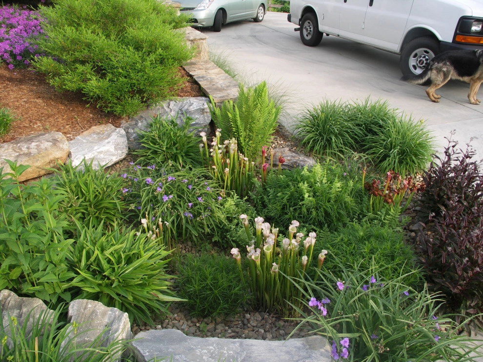 Dry Streams, Rain Gardens and Bog Gardens by Earth Design, Inc. - Photo 15