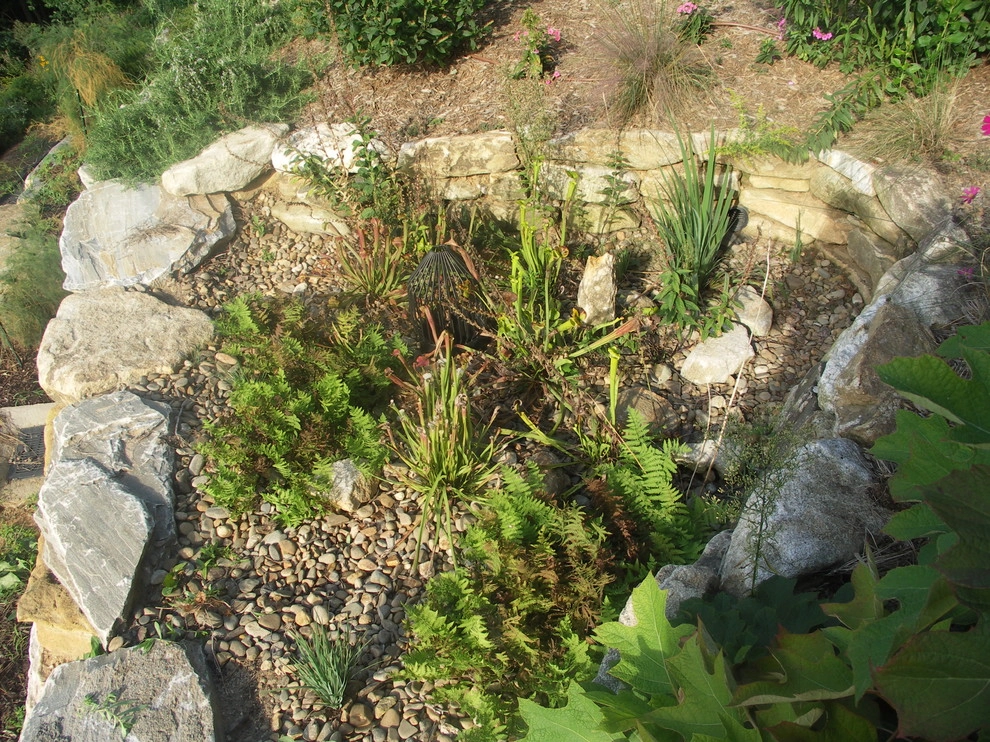 Dry Streams, Rain Gardens and Bog Gardens by Earth Design, Inc. - Photo 21