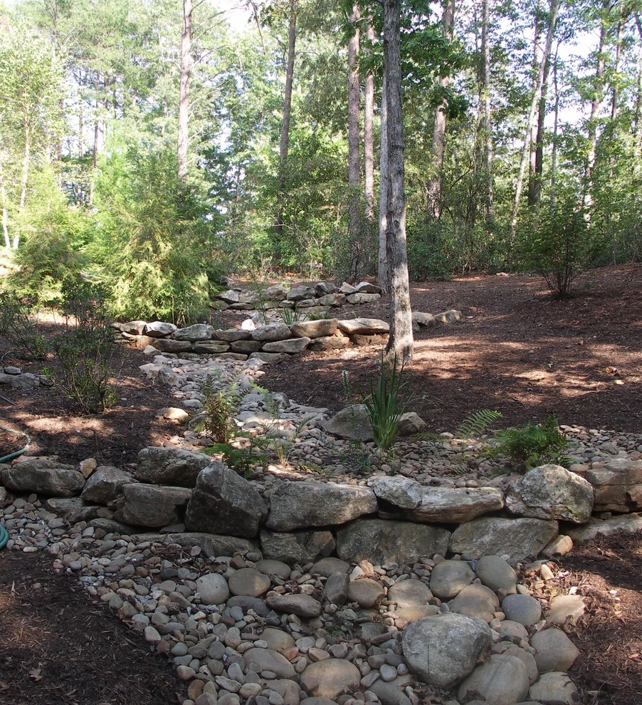 Dry Streams, Rain Gardens and Bog Gardens by Earth Design, Inc. - Photo 17