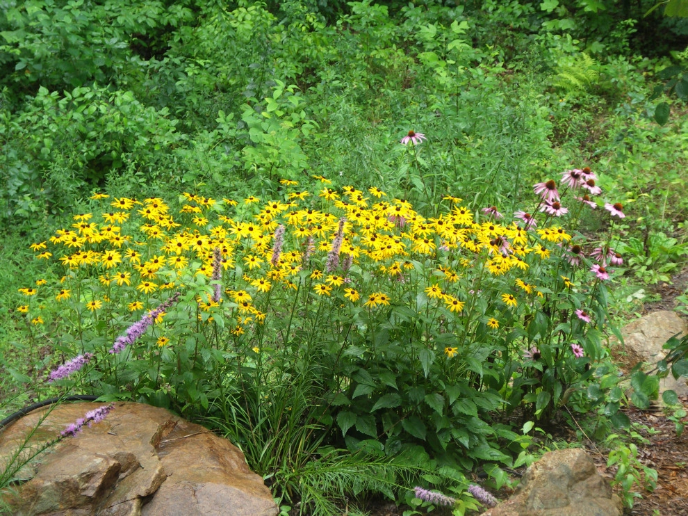 Native Plants and Planting Palettes by Earth Design, Inc. - Photo 14