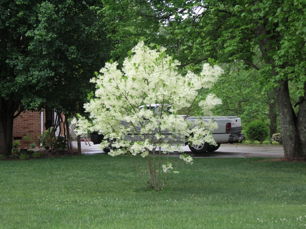 Native Plants and Planting Palettes by Earth Design, Inc. - Photo 44