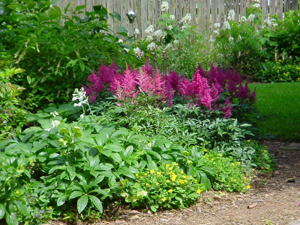 Native Plants and Planting Palettes by Earth Design, Inc. - Photo 9