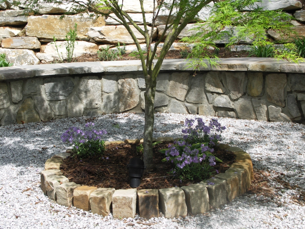 Native Plants and Planting Palettes by Earth Design, Inc. - Photo 42