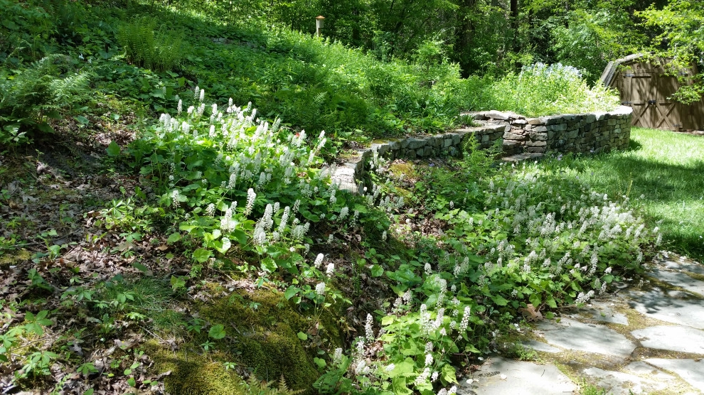 Native Plants and Planting Palettes by Earth Design, Inc. - Photo 35