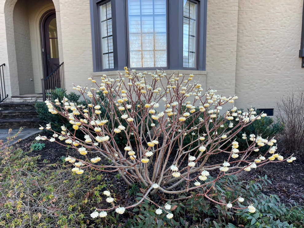 Native Plants and Planting Palettes by Earth Design, Inc. - Photo 21