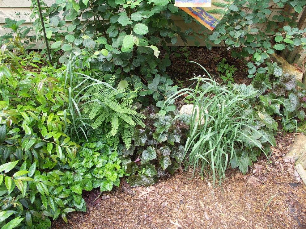 Native Plants and Planting Palettes by Earth Design, Inc. - Photo 10