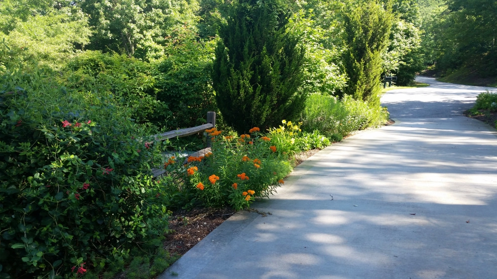 Native Plants and Planting Palettes by Earth Design, Inc. - Photo 20