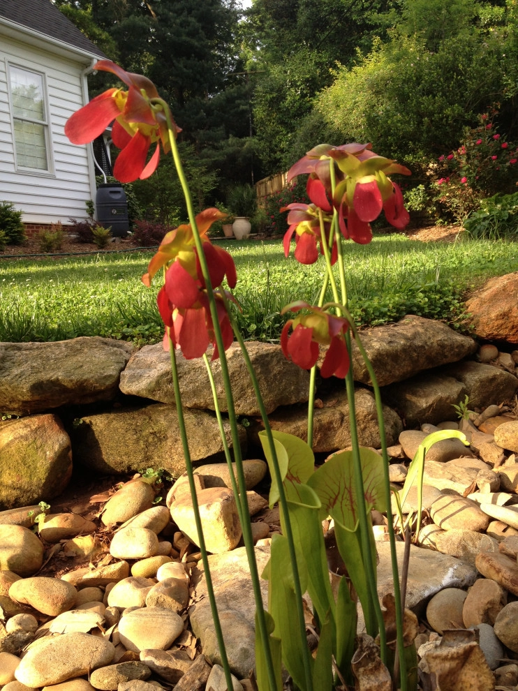 Earth Design, Inc. - Photo 12