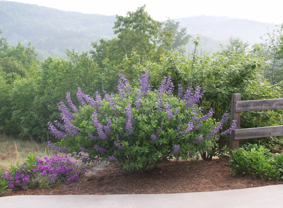 Native Plants and Planting Palettes by Earth Design, Inc. - Photo 31