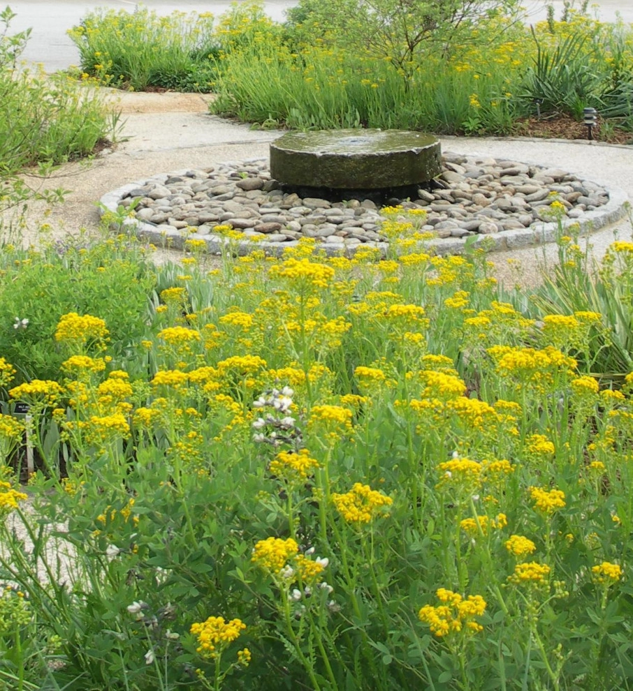 Water Features and Pools by Earth Design, Inc. - Photo 13