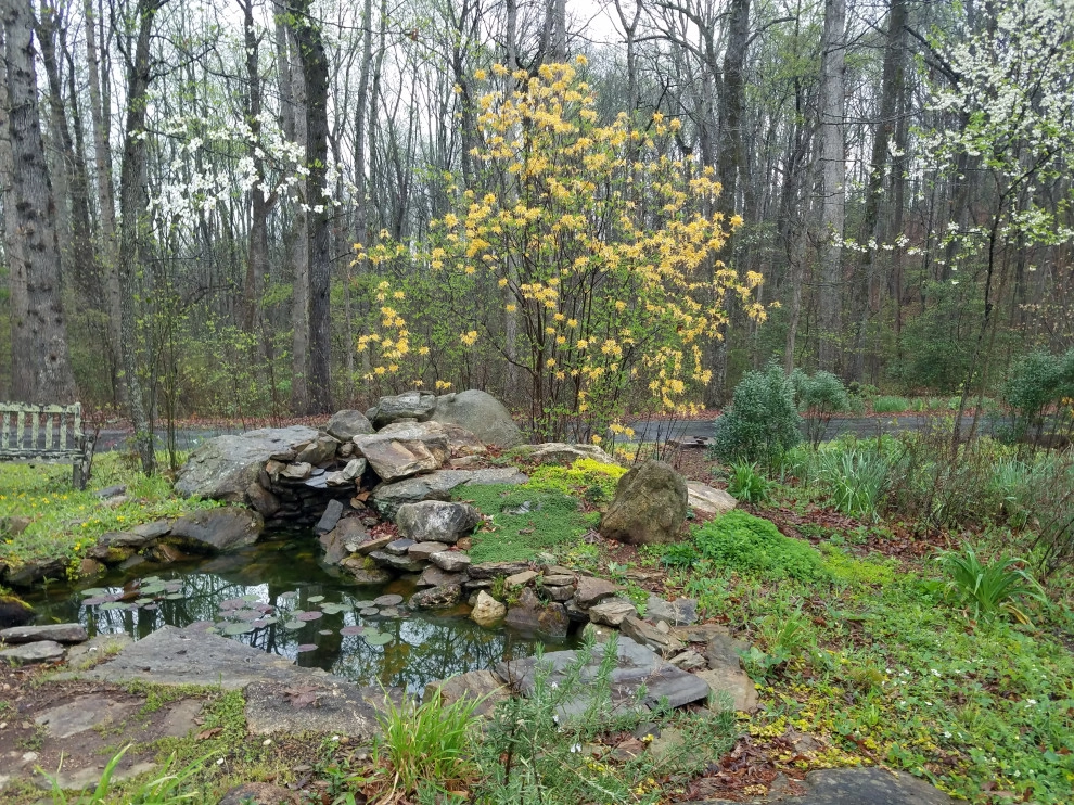 Water Features and Pools by Earth Design, Inc. - Photo 23