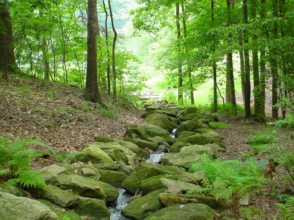 Water Features and Pools by Earth Design, Inc. - Photo 11