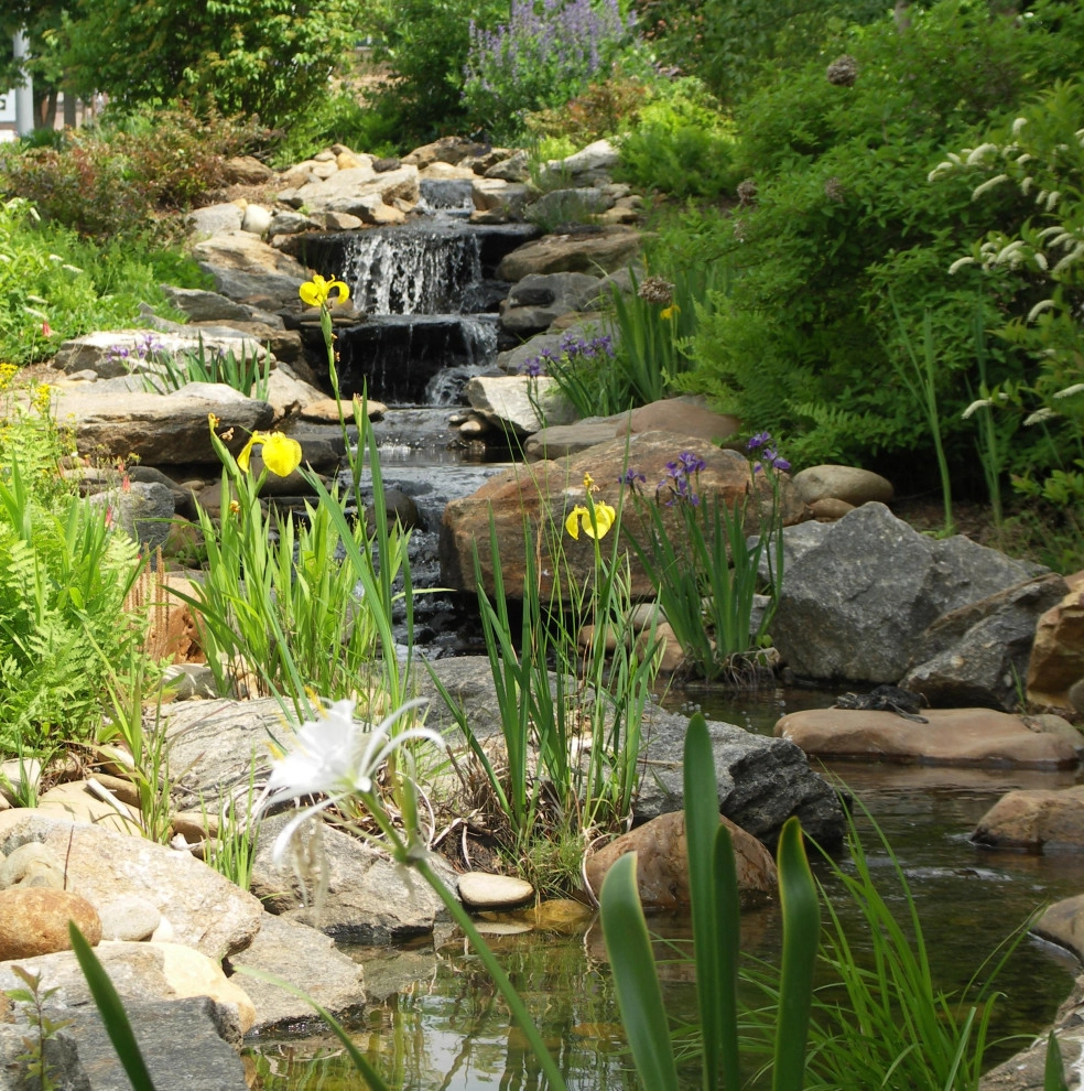 Water Features and Pools by Earth Design, Inc. - Photo 15