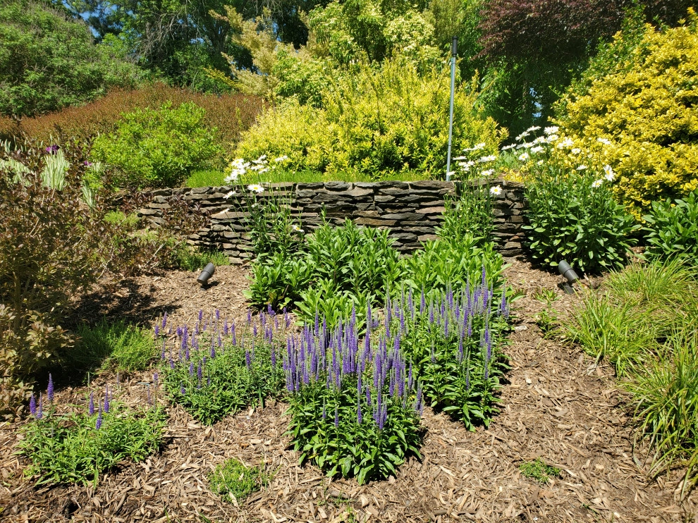 Parkins Mill Landscape Makeover by Earth Design, Inc. - Photo 5