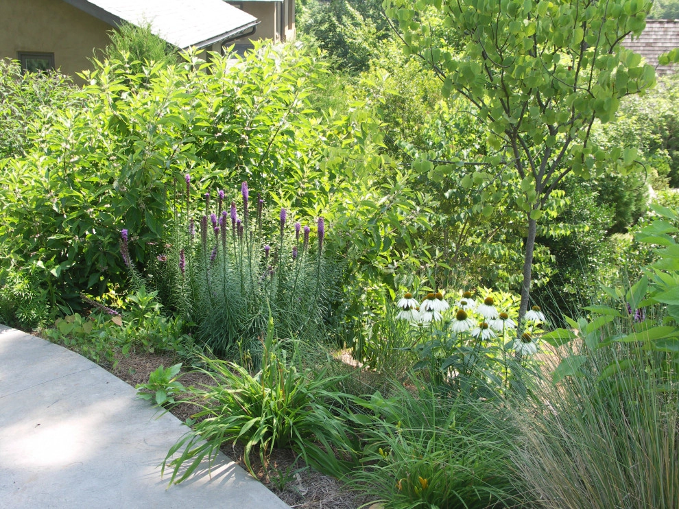 Dry Streams, Rain Gardens and Bog Gardens by Earth Design, Inc. - Photo 2
