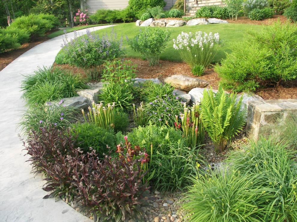 Dry Streams, Rain Gardens and Bog Gardens by Earth Design, Inc. - Photo 11