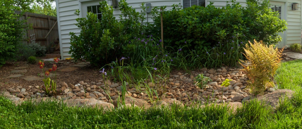 Dry Streams, Rain Gardens and Bog Gardens by Earth Design, Inc. - Photo 19
