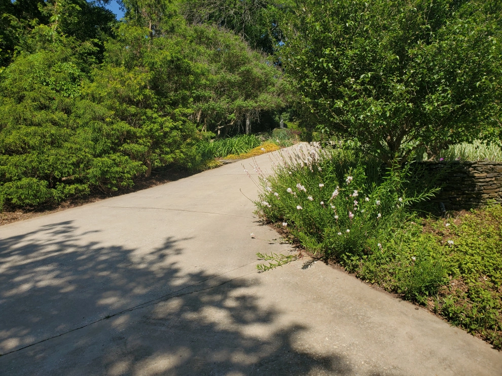 Parkins Mill Landscape Makeover by Earth Design, Inc. - Photo 3
