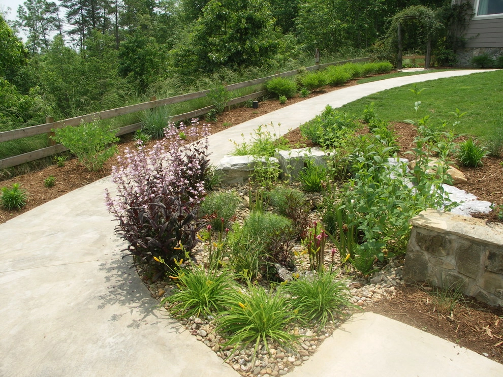 Dry Streams, Rain Gardens and Bog Gardens by Earth Design, Inc. - Photo 12