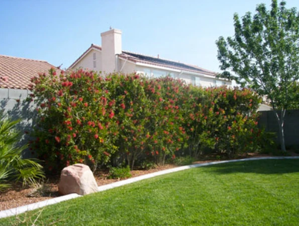 Landscapes Of Las Vegas - Photo 5