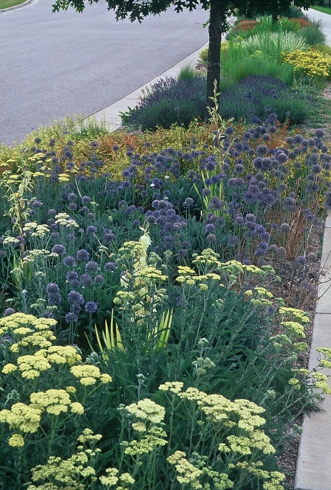 Gardens on Spring Creek hellstrip by Lauren Springer - Photo 3