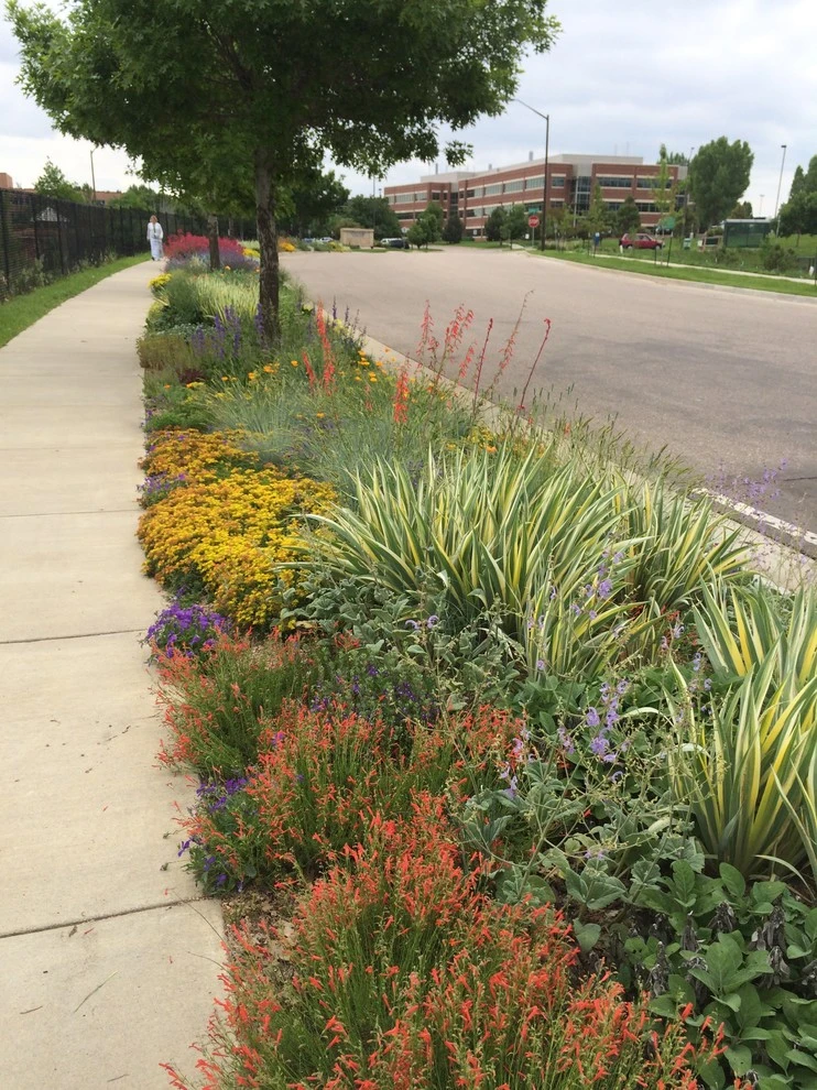 Gardens on Spring Creek hellstrip by Lauren Springer - Photo 2