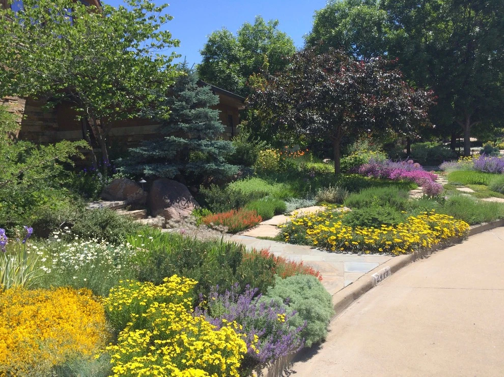 Carlin garden by Lauren Springer - Photo 2