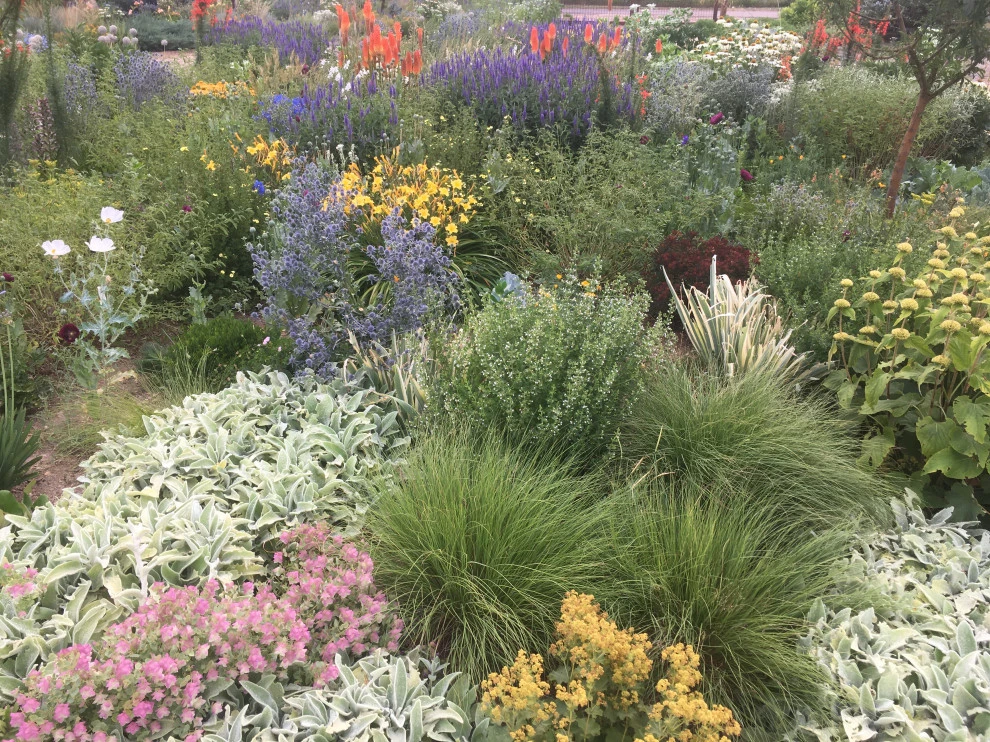 Meadow Garden, northern Colorado by Lauren Springer - Photo 2