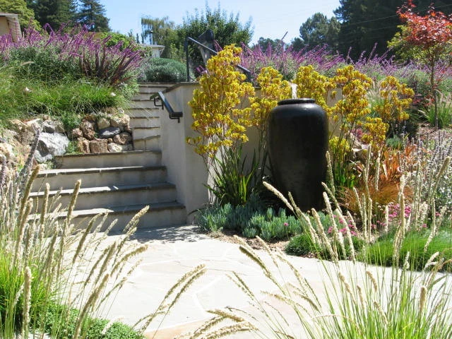 Luxury Entry Garden by Lazar Landscape Design And Construction - Photo 2