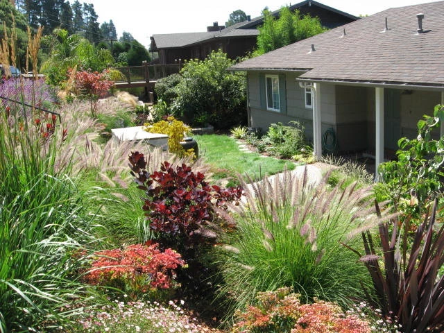 Luxury Entry Garden by Lazar Landscape Design And Construction - Photo 4