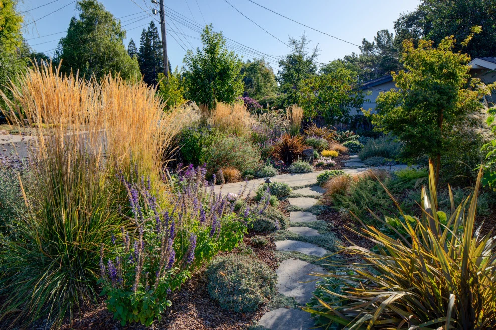 Camrose Residence by Lazar Landscape Design And Construction - Photo 6