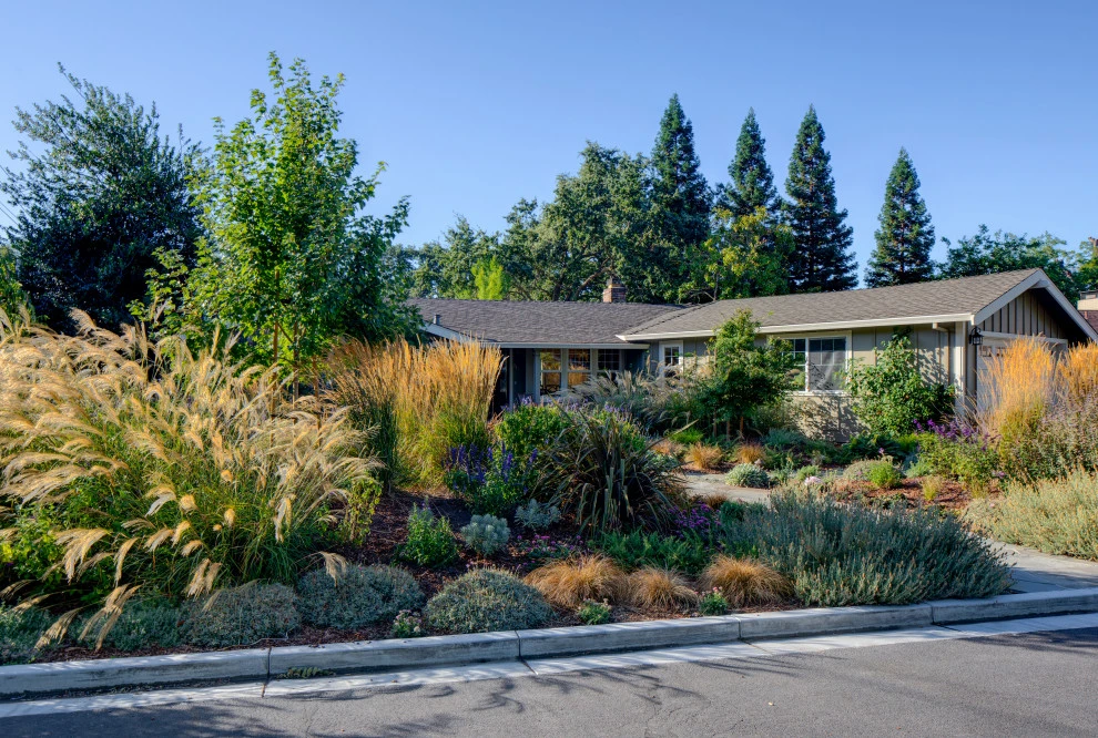 Camrose Residence by Lazar Landscape Design And Construction - Photo 9