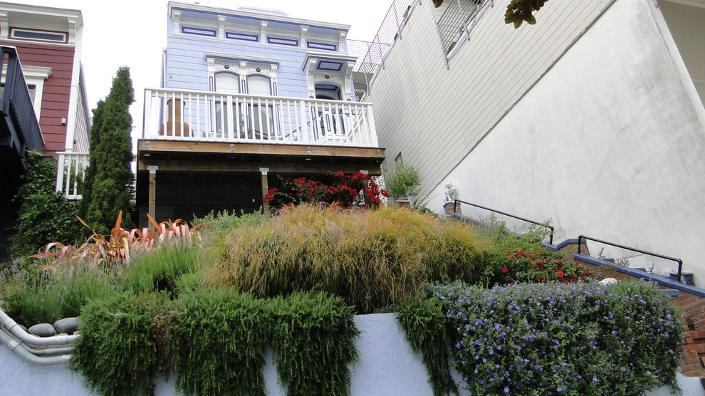 Noe Residence by Lazar Landscape Design And Construction - Photo 10