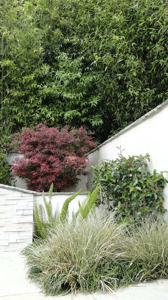 Noe Residence by Lazar Landscape Design And Construction - Photo 12