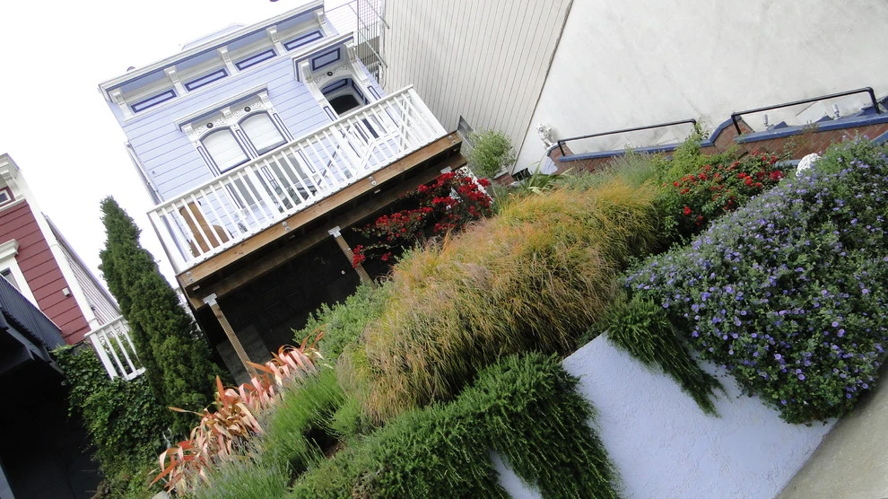 Noe Residence by Lazar Landscape Design And Construction - Photo 6