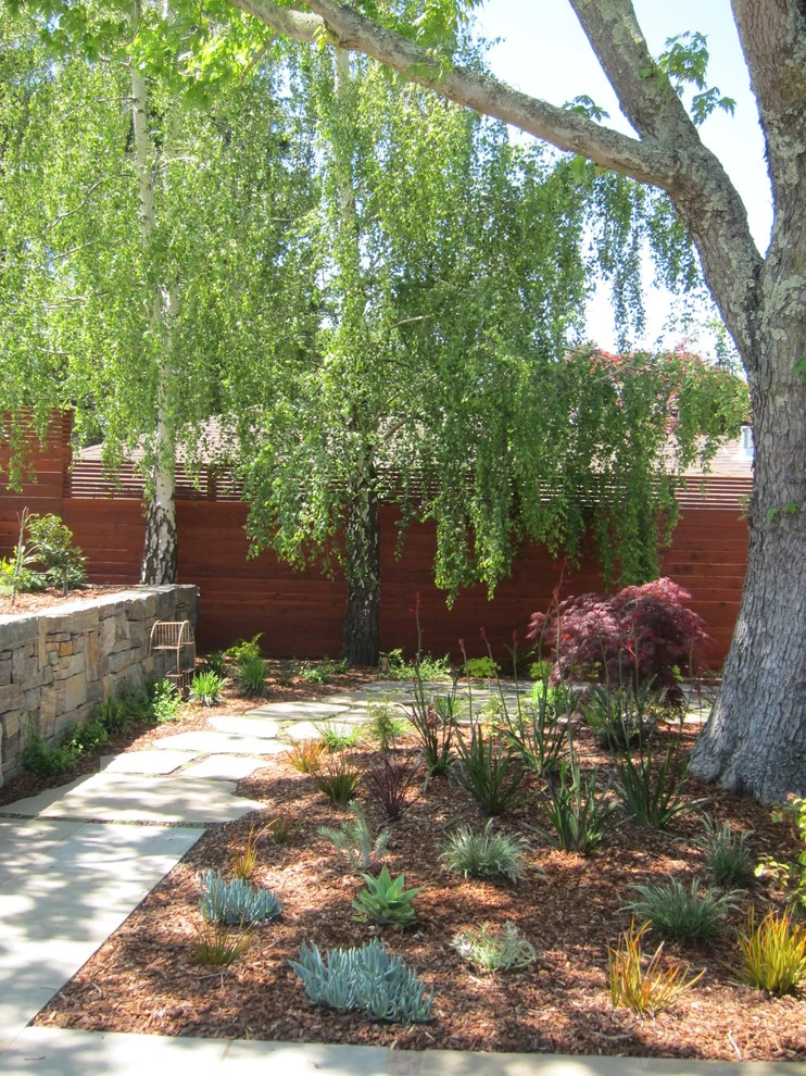 McAndrew Garden by Lazar Landscape Design And Construction - Photo 9