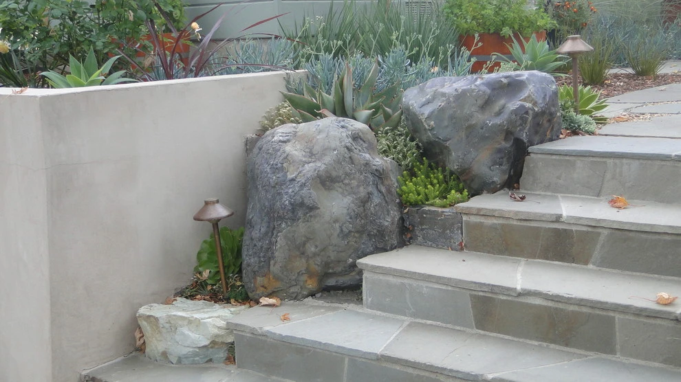 McAndrew Garden by Lazar Landscape Design And Construction - Photo 11