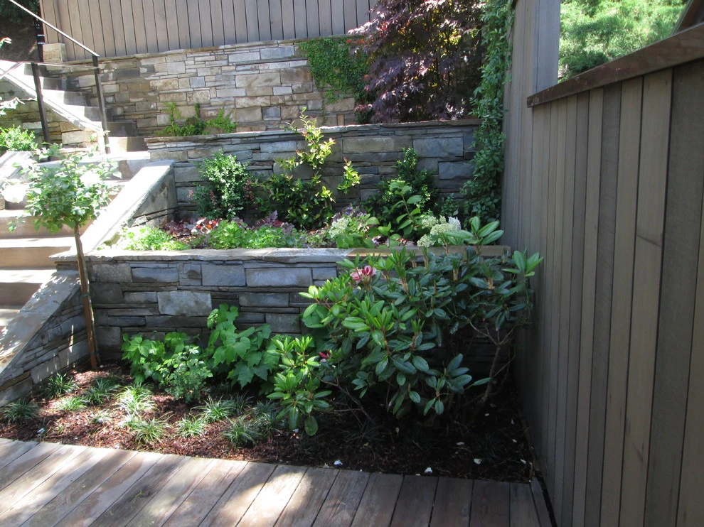 Terraced Entry Garden by Lazar Landscape Design And Construction - Photo 7