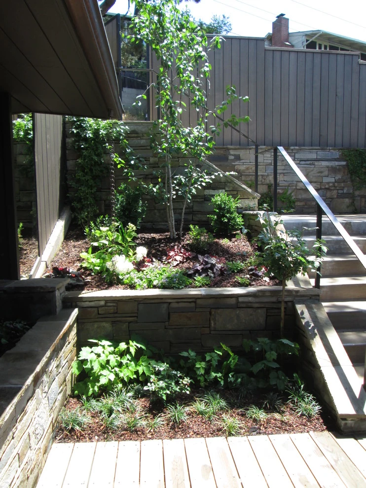 Terraced Entry Garden by Lazar Landscape Design And Construction - Photo 3