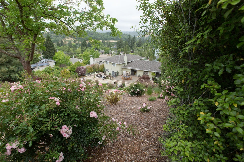 Eileen Residence by Lazar Landscape Design And Construction - Photo 6