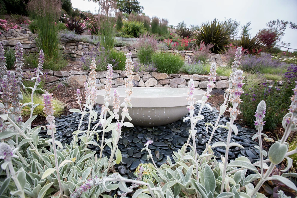 Eileen Residence by Lazar Landscape Design And Construction - Photo 7