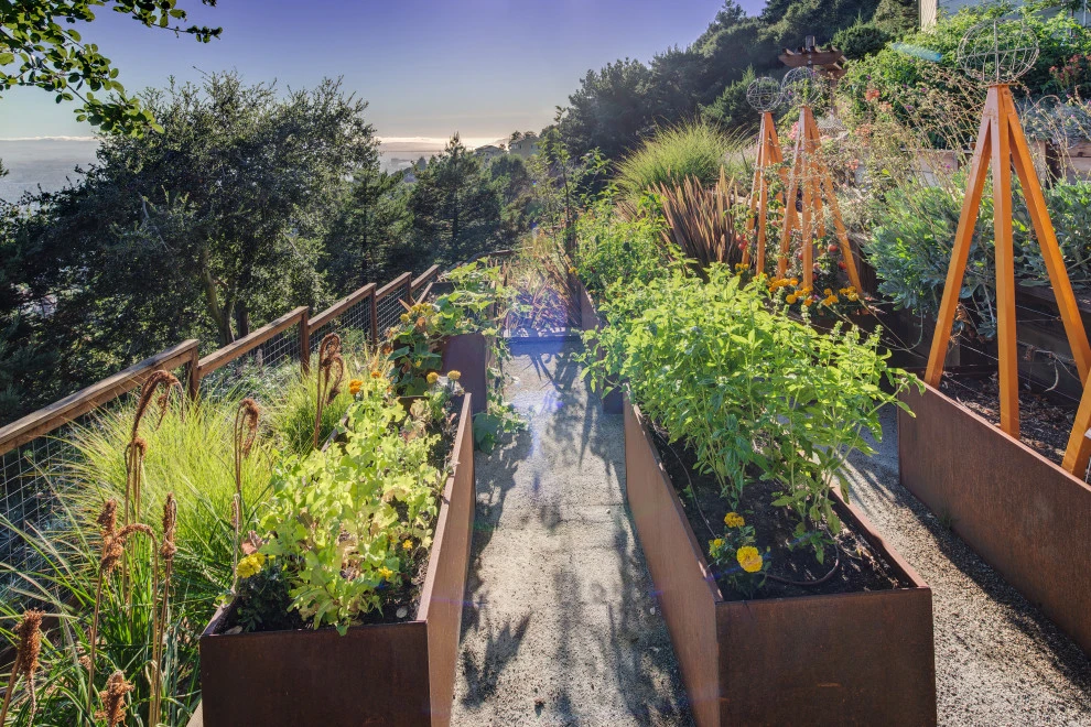 Dawn Residence by Lazar Landscape Design And Construction - Photo 7
