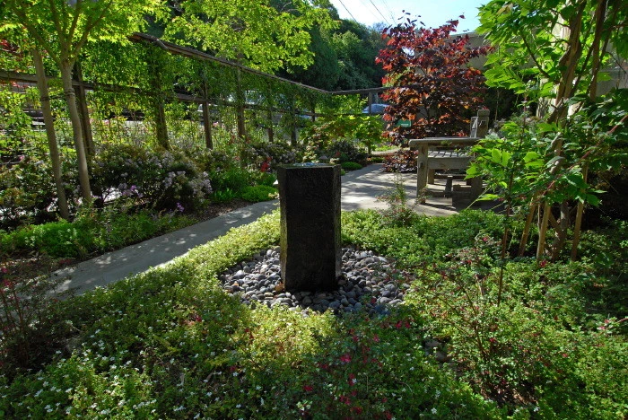 Water Features by Lazar Landscape Design And Construction - Photo 7