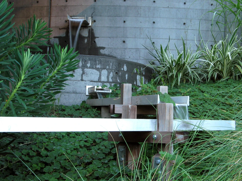 Water Garden - Oakland, CA by Lazar Landscape Design And Construction - Photo 7